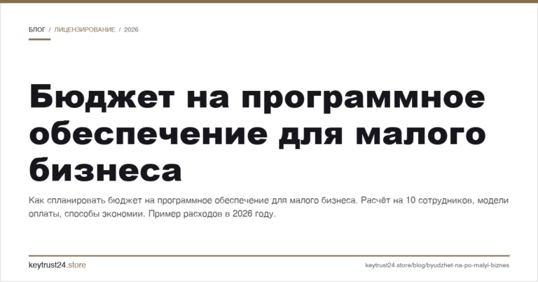 Бюджет на программное обеспечение для малого бизнеса