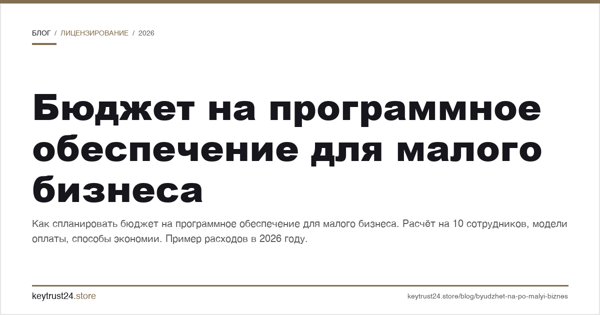 бюджет на программное обеспечение для малого бизнеса