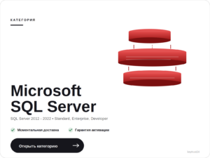 Microsoft SQL Server